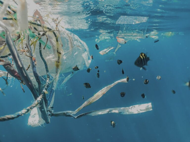 塑料在海洋中的問題：一場可以避免的危機
