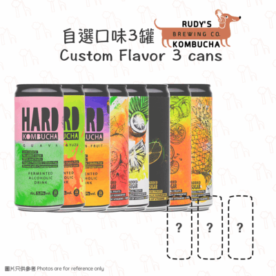 【天然發酵】Rudy's Kombucha - 自選口味3罐嘗味套裝(@330毫升)